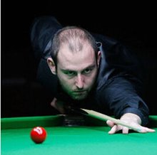 七个项目的 七个项目的