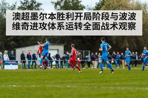 澳超墨尔本胜利开局阶段与波波维奇进攻体系运转全面战术观察 | mk sports
